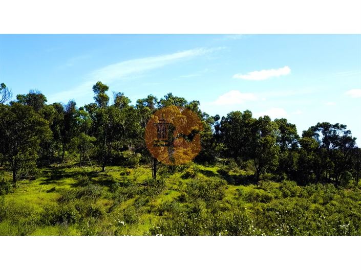 Image No.8-Plot for sale