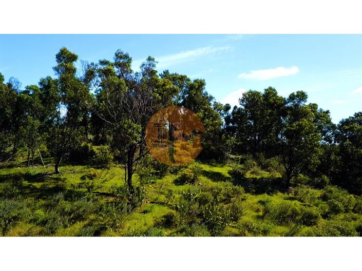 Image No.9-Plot for sale