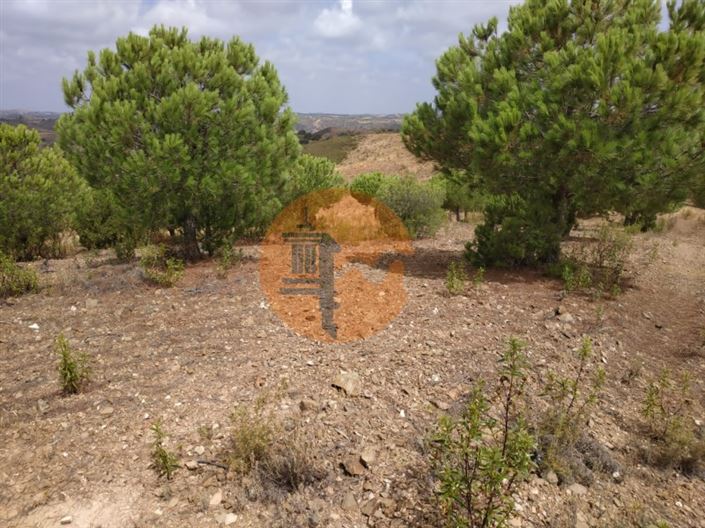 Image No.16-Plot for sale