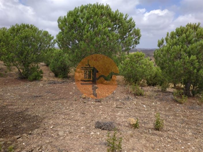 Image No.17-Plot for sale