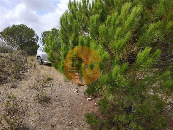 Image No.18-Plot for sale