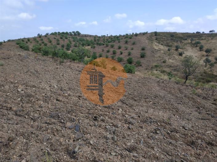 Image No.22-Plot for sale