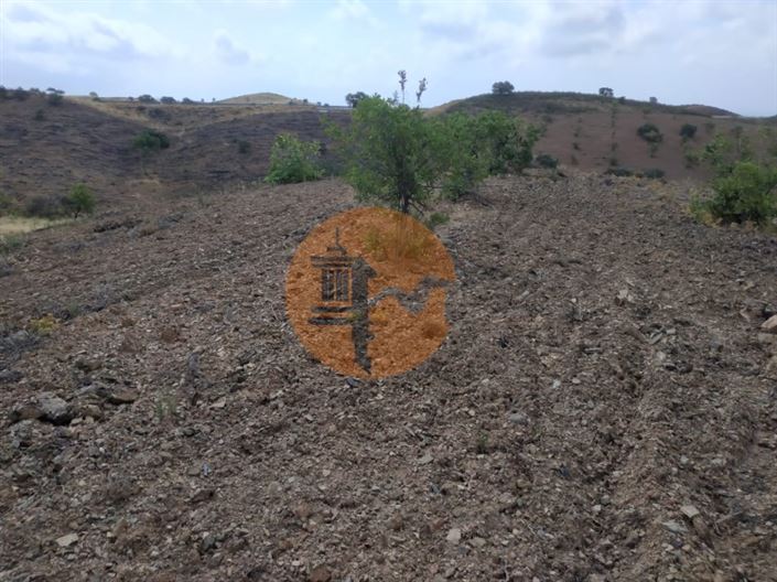 Image No.23-Plot for sale