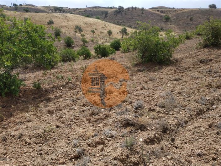 Image No.25-Plot for sale