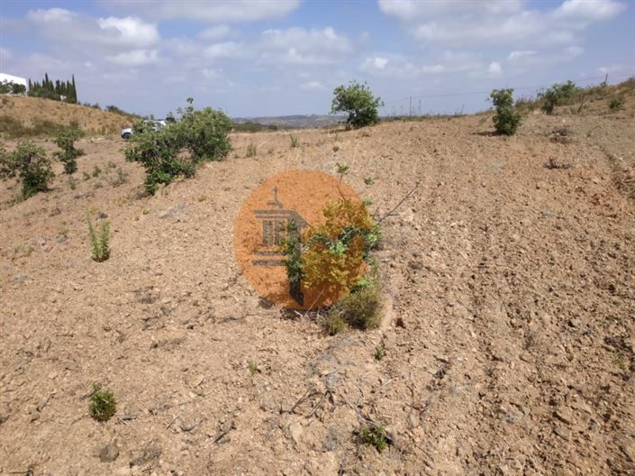 Image No.28-Plot for sale