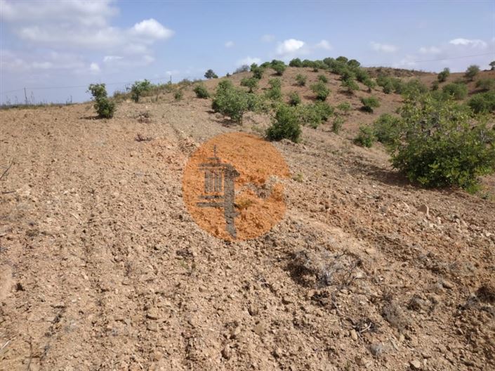 Image No.29-Plot for sale