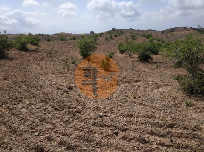 Image No.33-Plot for sale