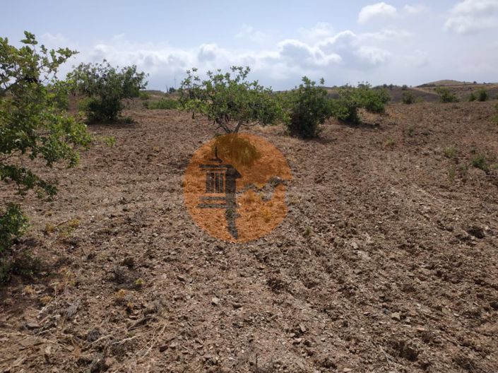 Image No.34-Plot for sale