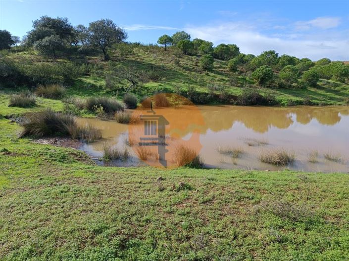 Image No.36-Plot for sale