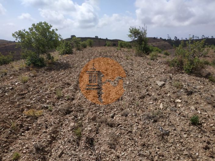 Image No.4-Plot for sale