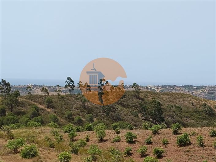 Image No.48-Plot for sale