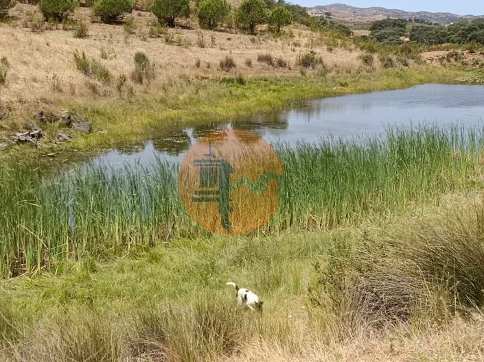 Image No.50-Plot for sale