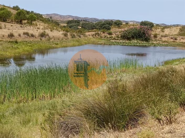 Image No.52-Plot for sale