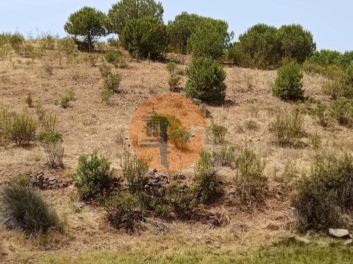 Image No.54-Plot for sale