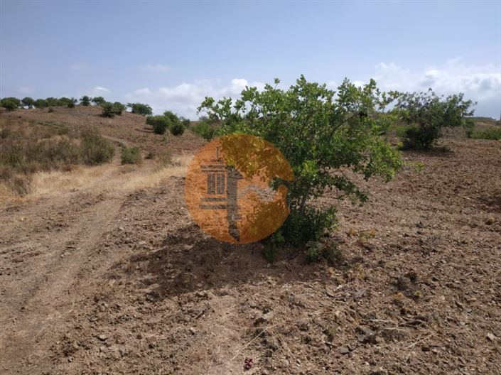 Image No.6-Plot for sale