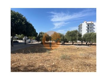 1 - Loule, Plot