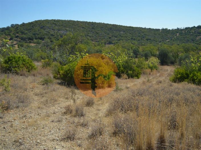 Image No.5-Plot for sale