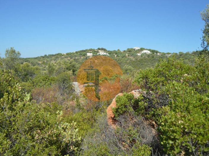 Image No.7-Plot for sale