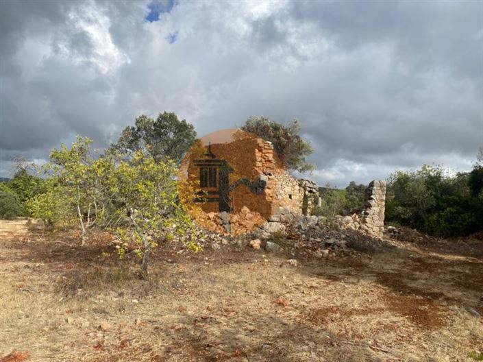 Image No.2-Plot for sale