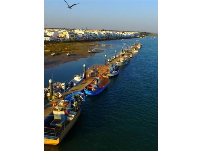 Image No.16-2 Bed House for sale