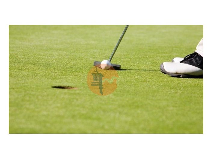 Image No.30-3 Bed House for sale