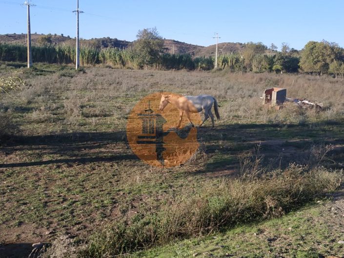 Image No.14-Plot for sale