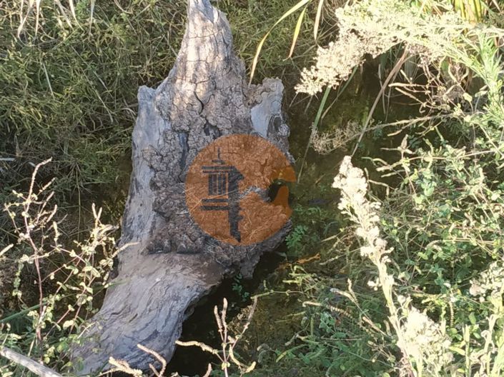 Image No.26-Plot for sale