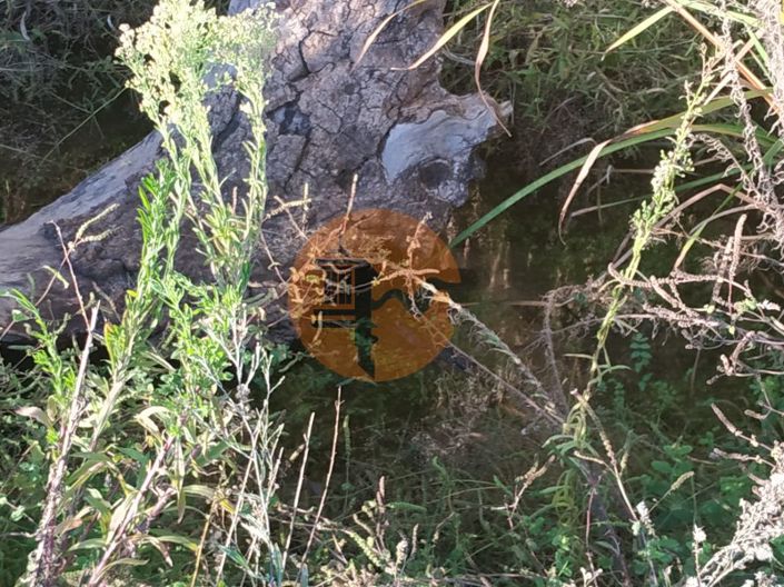 Image No.27-Plot for sale