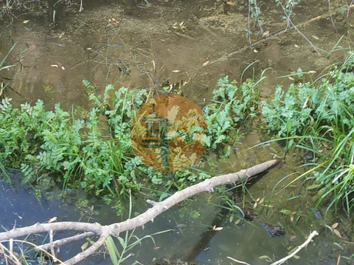 Image No.28-Plot for sale