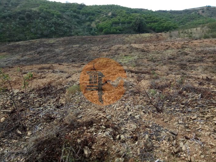 Image No.10-Plot for sale