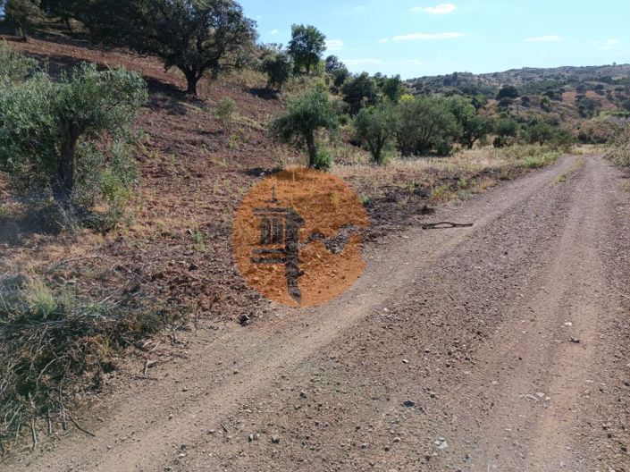 Image No.17-Plot for sale