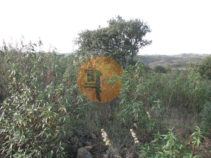 Image No.23-Plot for sale