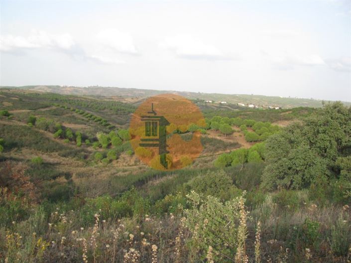 Image No.27-Plot for sale