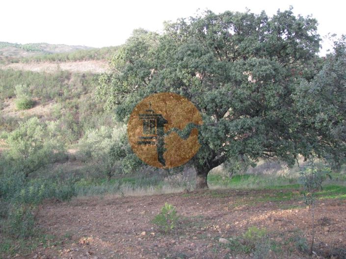 Image No.31-Plot for sale