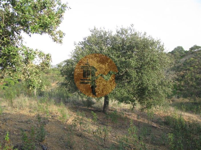 Image No.38-Plot for sale