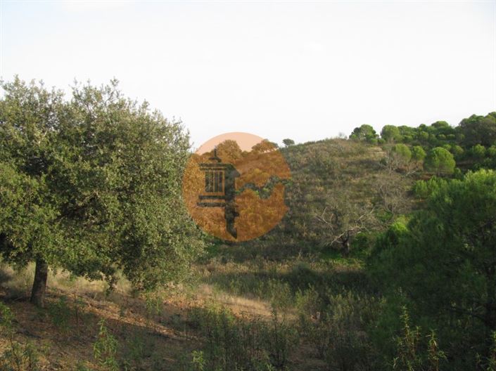 Image No.39-Plot for sale