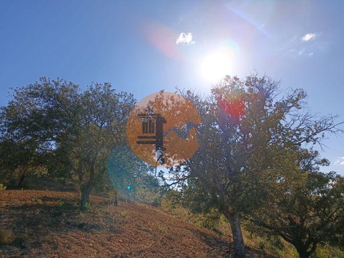 Image No.5-Plot for sale