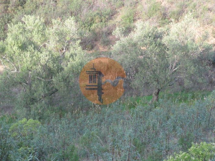 Image No.7-Plot for sale