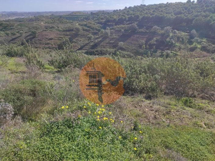 Image No.30-Plot for sale