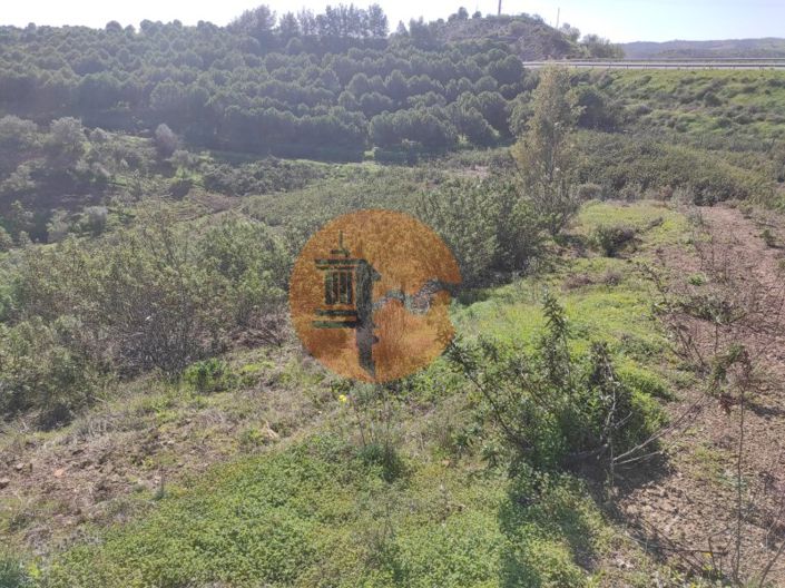 Image No.32-Plot for sale