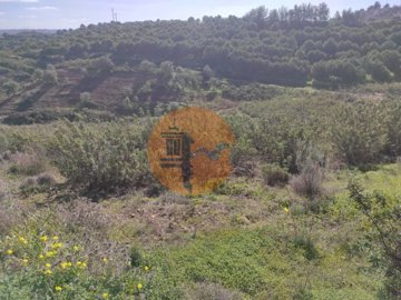 id5e813001-0000-0500-0000-000010b9dd42