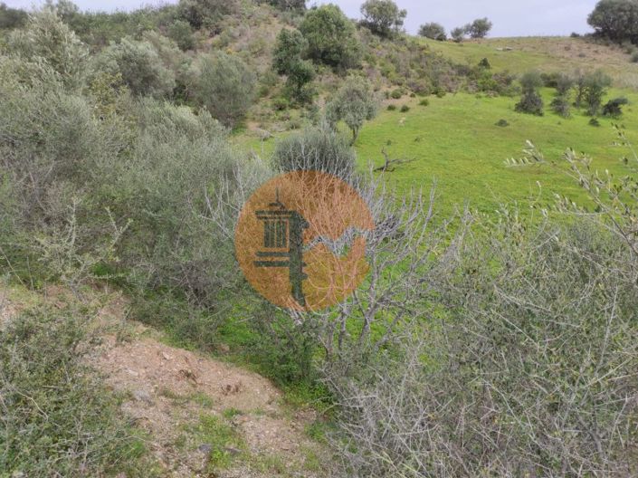 Image No.10-Plot for sale