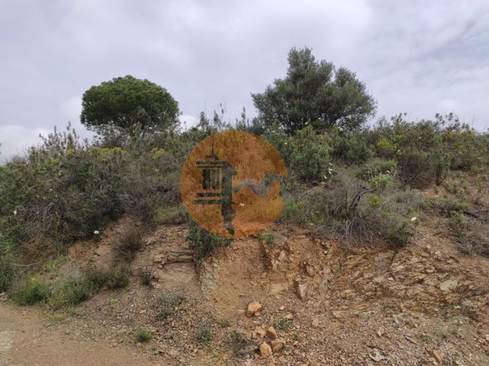 Image No.11-Plot for sale