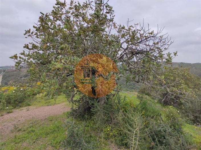 Image No.14-Plot for sale