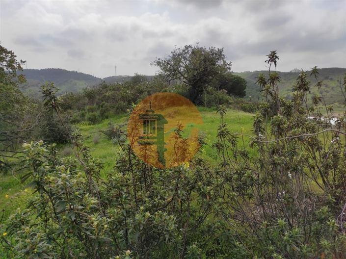 Image No.15-Plot for sale