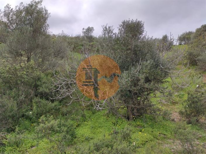 Image No.17-Plot for sale