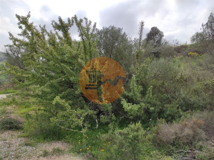 Image No.18-Plot for sale