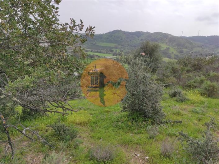 Image No.22-Plot for sale