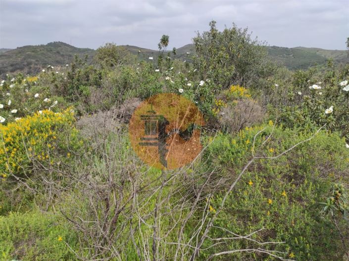 Image No.28-Plot for sale