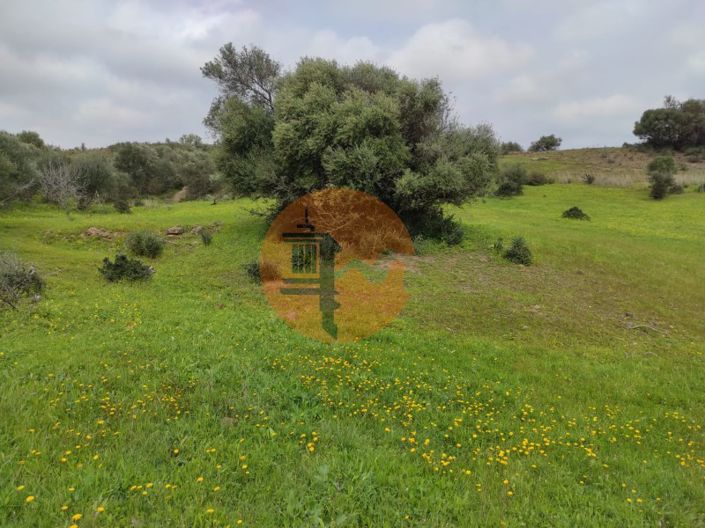 Image No.30-Plot for sale